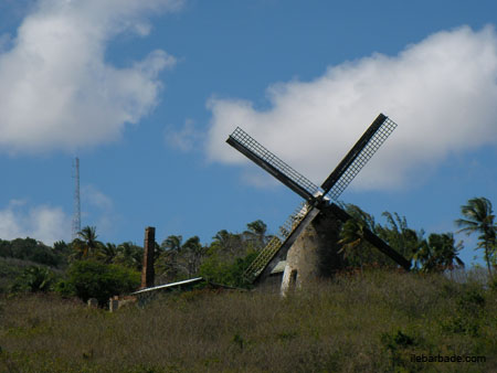 MorganLewisMill (1)