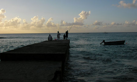 GodingsBay02