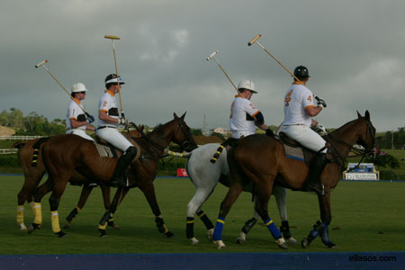 Polo01