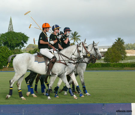 Polo02