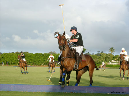 Polo05