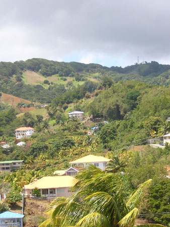 DSCN2772